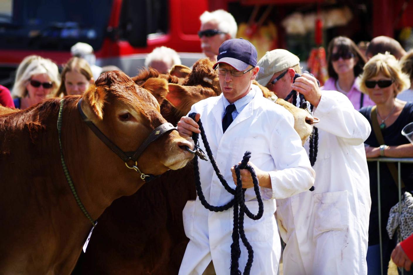 North Devon Show