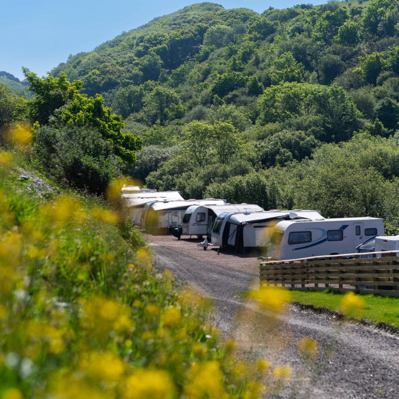 Touring Vans on seasonal hard standing pitches at Woolacombe Sands Holiday Park