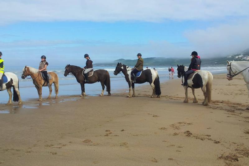 Woolacombe Riding Stables 